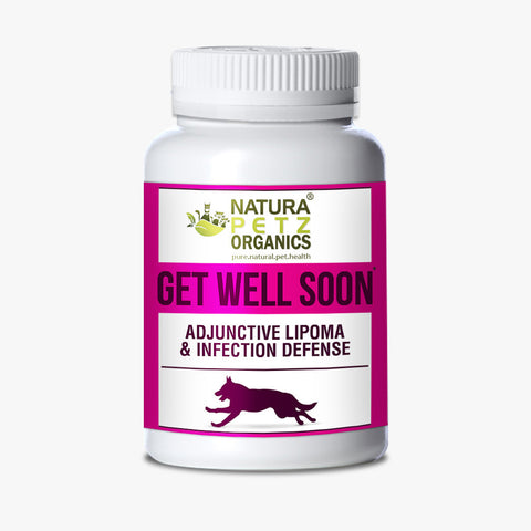 Get Well Soon - Adjunctive Lipoma (Growth, Masses) + Infection Defense*